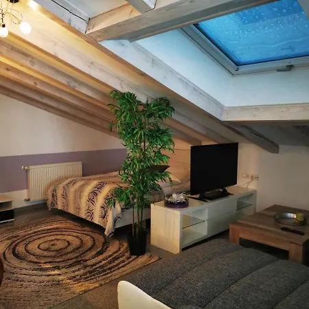 Haus Bolay Apartment